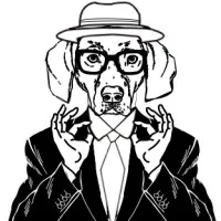 Pointer
