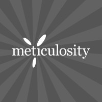 Meticulosity