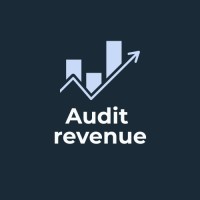 Audit revenue