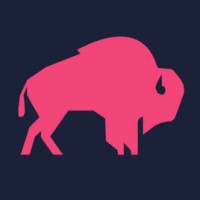 BisonRS - RevOps Recruitment Specialists