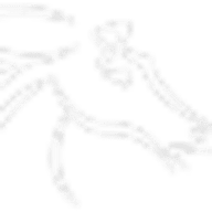 Presque Isle Downs, Inc.