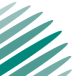 Vaillant Group