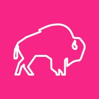 BisonRS - RevOps Recruitment Specialists
