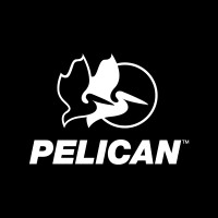 Pelican