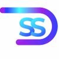 DSS IP and Business Solution