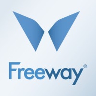 Freeway Consulting - Summit Partner Salesforce