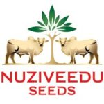 NUZIVEEDU SEEDS LIMITED