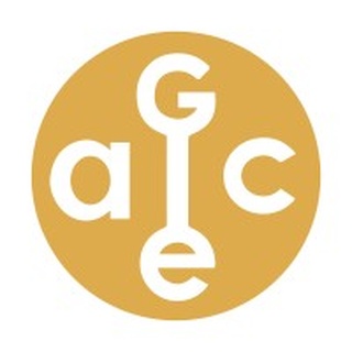 Global ACE Group