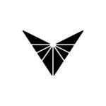 Voyager Technologies