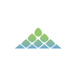 Ambarella Inc
