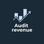 Audit revenue
