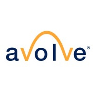 Avolve Software Group