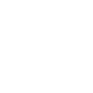 BCI Brands