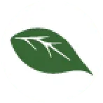 Benson Enterprises