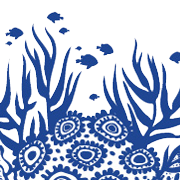 Blue Coral Staffing Corp.