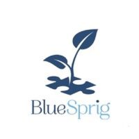 Blue Sprig