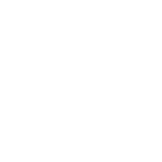Brabner Fox