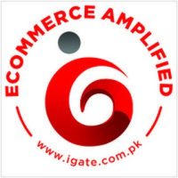 iGate Technologies