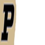 Purdue University