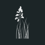Sweetgrass Properties