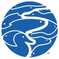 Tennessee Aquarium