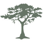 The Cypress Group