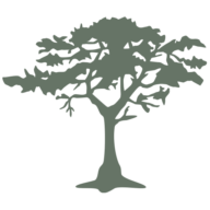 The Cypress Group