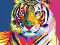 Tigermed