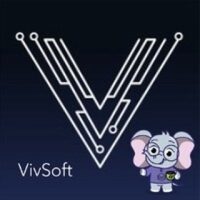 VivSoft Technologies