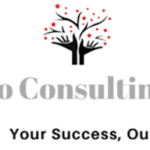 Voto Consulting LLC