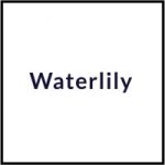 Waterlily