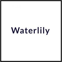 Waterlily